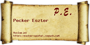 Pecker Eszter névjegykártya